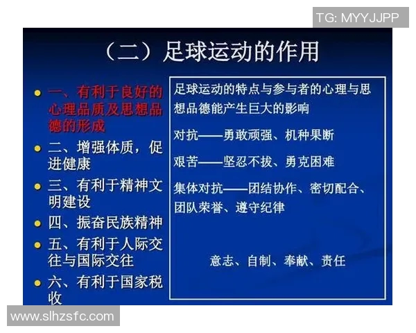 深圳足球队与成都足球队赛后战术分析与总结探讨